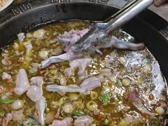 -鲜椒鱼·雅安地标性美食