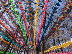 -沂蒙山旅游区云蒙景区(蒙山国家森林公园)