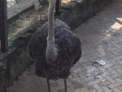 -武汉紫薇都市田园