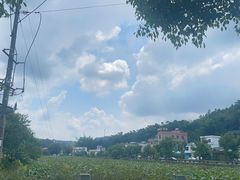 -红山村