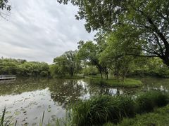 -西溪国家湿地公园