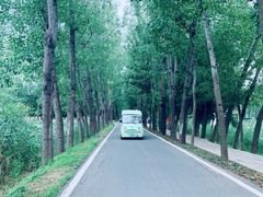-微山湖红荷湿地景区