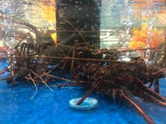 -盒马鲜生(莱蒙都会店)