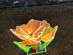 -大塘金香草谷
