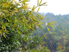 -九龙潭景区