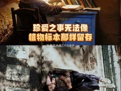 -卢米埃影城(长楹天街IMAX激光店)