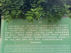 -王家大院