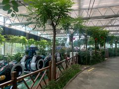 -南宫五洲植物乐园