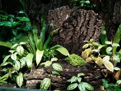 景观位-有才叔的小馆(招商依云曲江店)