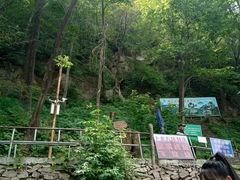 -帽儿山风景区