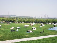-羊山湖公园
