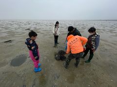 -北海金海湾红树林生态旅游区