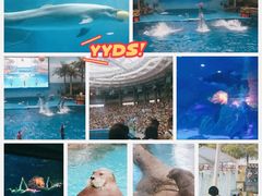 -海合安成都极地海洋公园