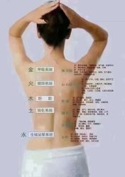 -香薇妮丝·定制减肥·身材管理