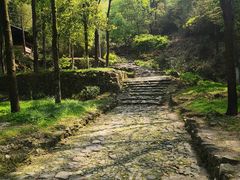 -仙霞关景区