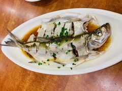 清蒸鲜白鱼-西新饭店(城中店)