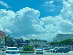 -石岐乳鸽村(桥观坊南四巷店)
