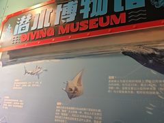 -海合安武汉极地海洋公园