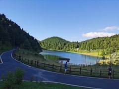 -武陵山森林公园