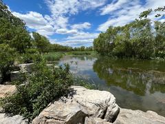 -大兴滨河森林公园