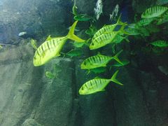 -福州罗源湾海洋世界旅游区