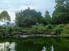 -大渡口区义渡公园