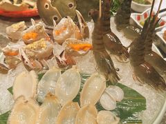 -禄婶鸡煲·打边炉
