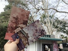 -武汉大学-樱园