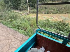 -高荡千年布依古寨旅游景区