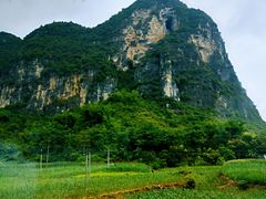 -明仕田园