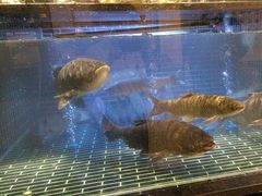 -衢农会·衢州菜·宴请(国际机场店)