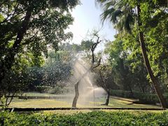 -深圳国际园林花卉博览园