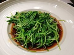 酒香炒豆苗-老头儿油爆虾·知味杭州(爱琴海购物中心)
