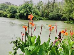 -贵阳市花溪国家城市湿地公园