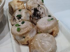 -咬不得高祖生煎·简餐(天城商业中心店)