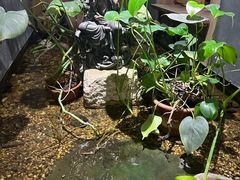 -邈墨茶馆(凤起路店)