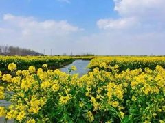 -上海佘山国家森林公园天马山园