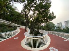 -金鸡山公园