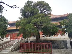 -北京艺术博物馆(万寿寺)