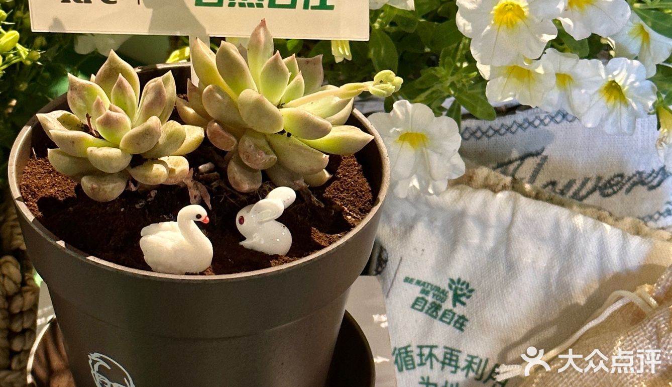 肯爷爷地球日🌍咖啡渣再生计划 将环保进行到底 环保青年做起来