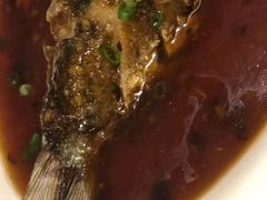 -大榕树下顺德菜(融创茂店)