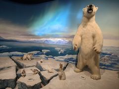 -陕西自然博物馆