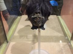 -信不信由你博物馆
