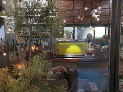 -咖法森林·咖啡  酒吧(天河店)