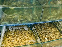 水产区-蟹谢蒸鲜自助餐厅