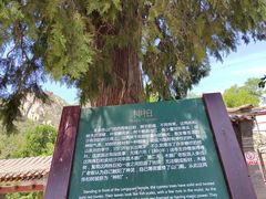 -北京凤凰岭