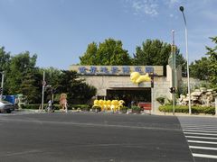 -南宫五洲植物乐园