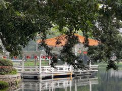 -荔湾湖公园