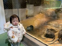 -苏州海洋馆