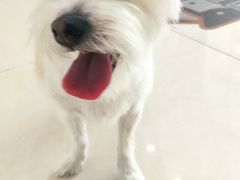 -美联众合24小时·皮肤科·外科·全科诊疗中心(华苑分院)